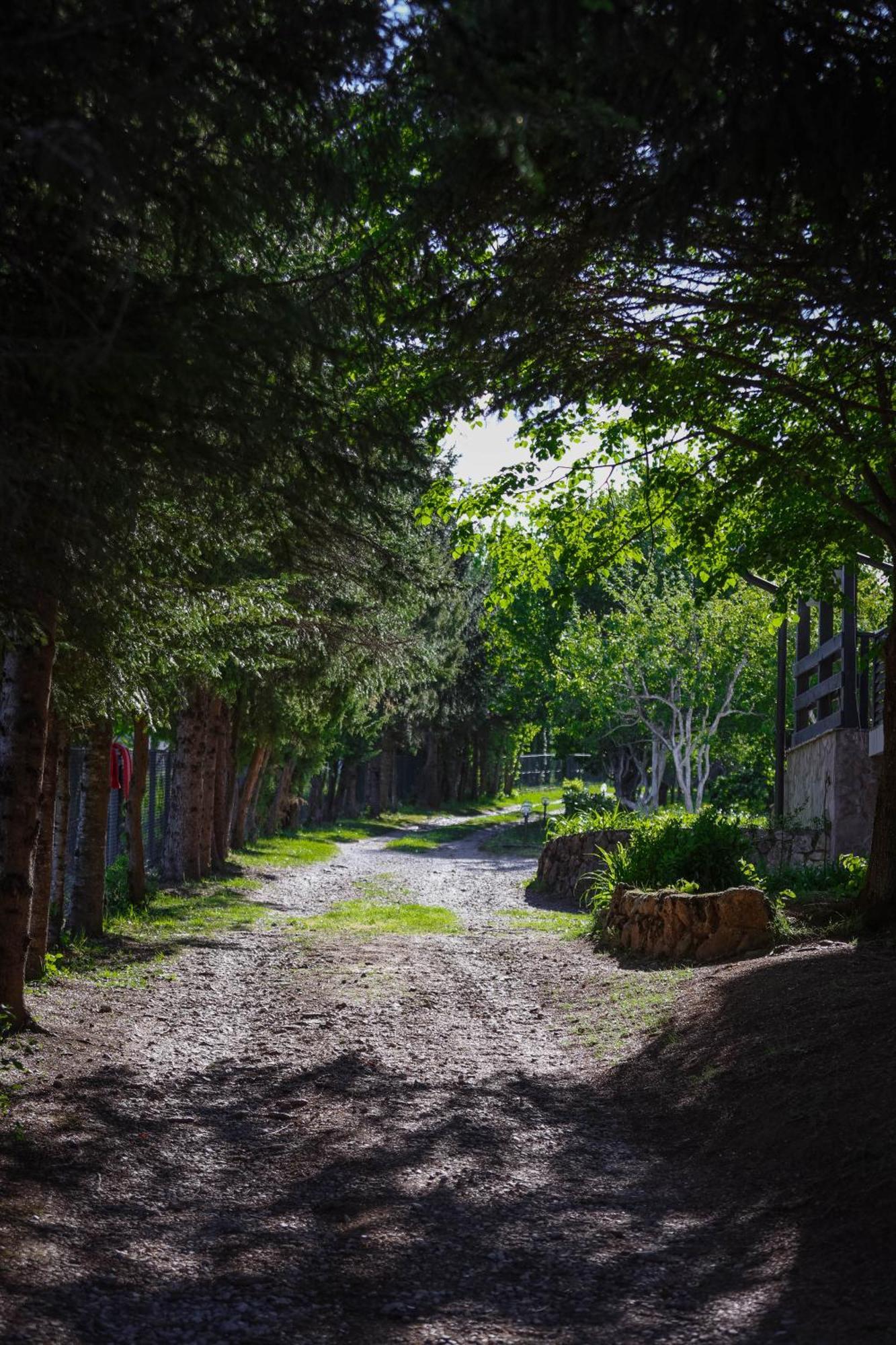 Apartman Babic Bihać Dış mekan fotoğraf